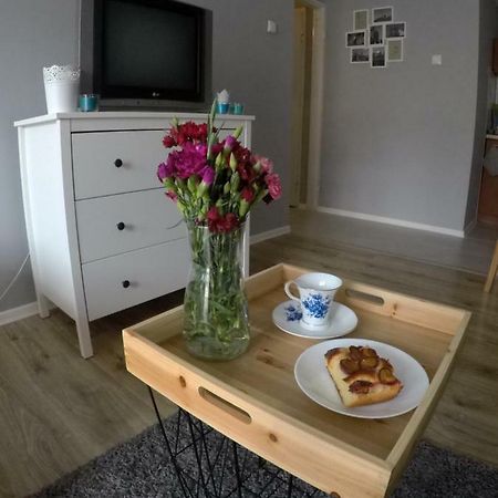 Mieszkanie w centrum Sandomierz Zewnętrze zdjęcie